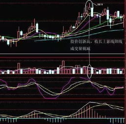 机构k线指标通过测试显示一条直线怎么办