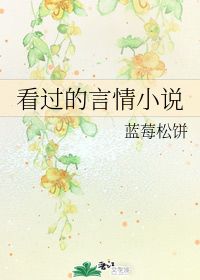 看过的言情小说 蓝莓松饼 晋江文学城 