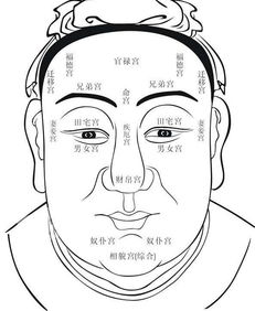 关于面相的诊断主要看什么(看面相的科学依据)