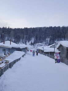 北京 自驾游 哈尔滨 雪乡