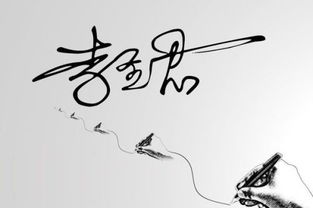 签名 手写签名设计 李圣君 ,设计简单点 一般中性笔签名 
