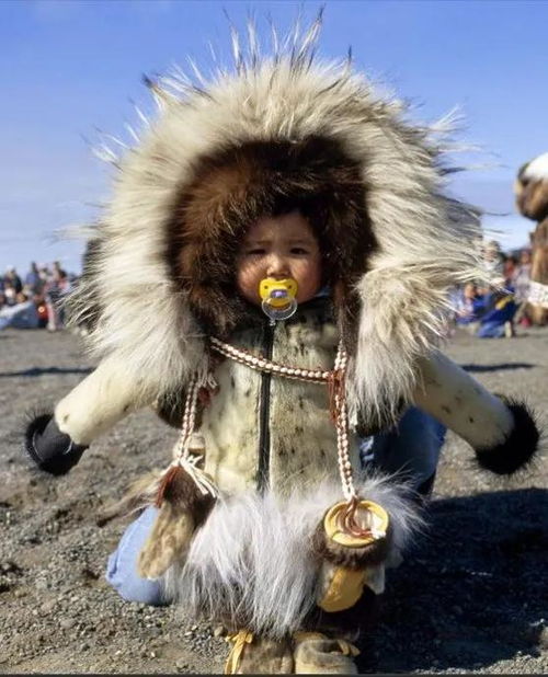 因纽特人的传统生活,吃生肉,以妻待客,生活在北极圈上的黄种人