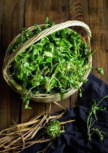 竹筒饭 挖野菜 超高性价比的亲子新体验 带着孩子过最诗意的乡下生活吧