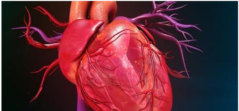 心脏支架,都必须复查心脏造影吗 专家说只有这3种情况才需要