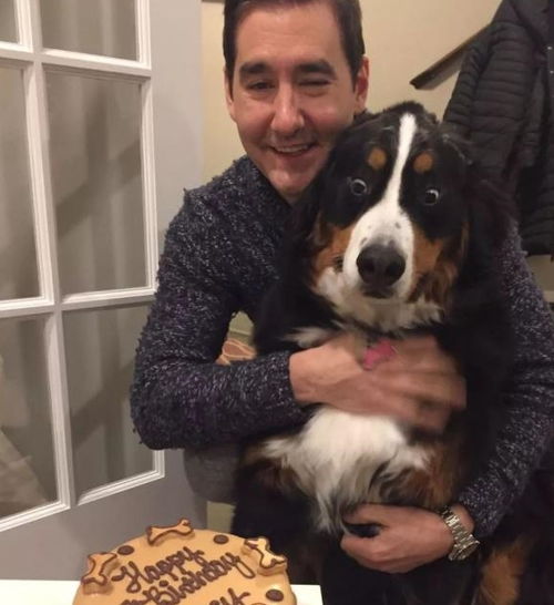 当狗狗收到生日蛋糕,脸上的表情绝了