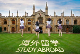 出国美国留学机构学校,办理去美国的留学机构哪个靠谱