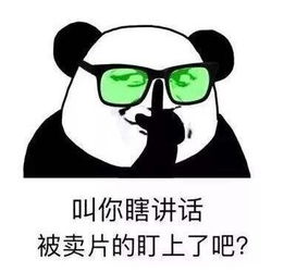 思鸡盯是什么梗 什么意思出处 