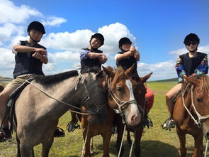 一场旅行,我们都中了草原的毒 呼伦贝尔 莫日格勒河,额尔古纳,根河,临江,室韦,恩和,弘吉剌部 额尔古纳游记攻略 