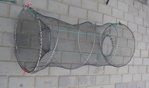 除了钓鱼, 还有一种方法可以让鱼儿自投罗网