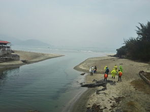 惠州黑排角自驾游在哪停车(惠州沙滩免费停车场有哪些)