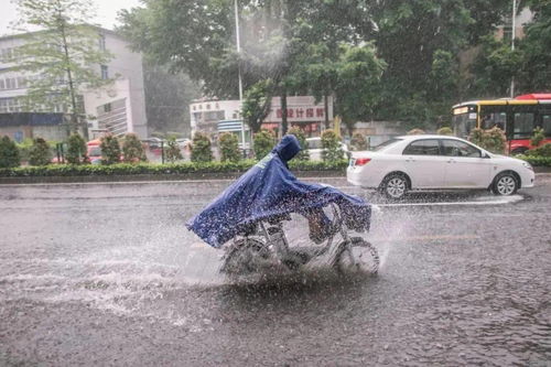 扩散 又有暴雨 大暴雨,省防总要求全力防汛