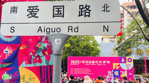 2023深圳爱国路迎春花市