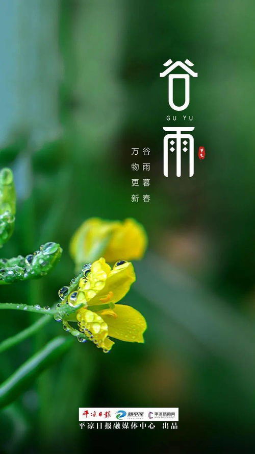 24节气谷雨图片大全