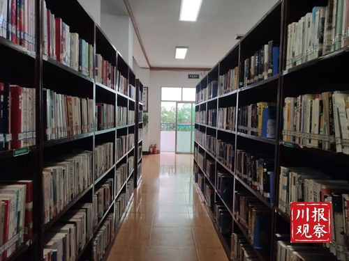 区县图书馆被嫌弃 超8成图书无人借阅