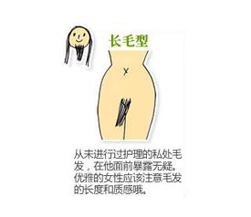 图解史上最全女性私处毛发形状 6