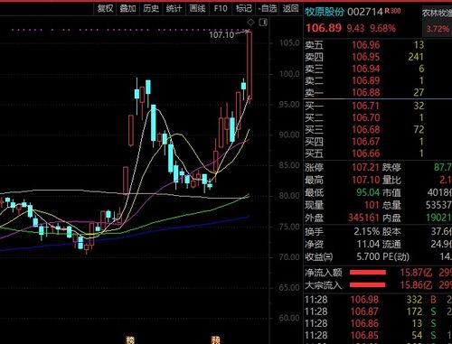 2005年到2022年的超级强势股票