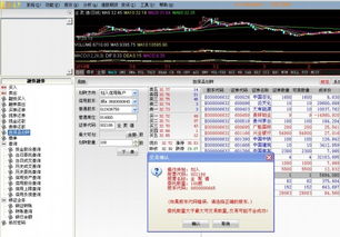 如何用光大金阳光申购新股