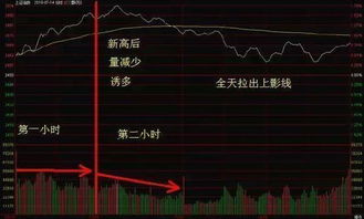 如何看懂分时图。要求详解的教学，视频或文字都行。