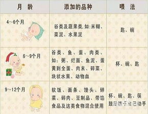 宝宝辅食添加顺序(婴儿辅食添加的顺序及时间表)