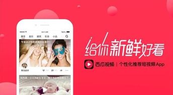 西瓜视频赚钱app手机软件 西瓜视频赚钱appv4.1.0 安卓版 腾牛安卓网 