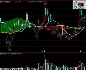 通达信软件，成功绑定一个dll主图指标，但是主图无法显示无法使用。求