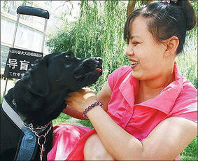 陈燕欲来海南旅游 担心导盲犬珍妮被拒微博求助 