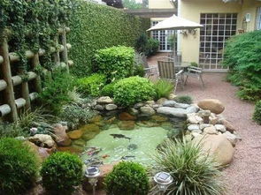 比起阳台砌鱼池,在院子里挖鱼池更靠谱,漂亮到爆 