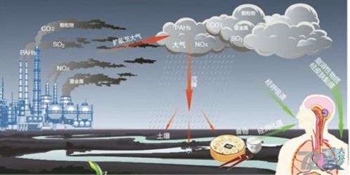 RTO焚烧炉在治理石油化工废气污染问题上的作用