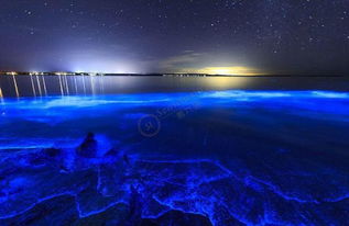 马尔代夫荧光海滩是哪个岛 世界上最美的海滩之一