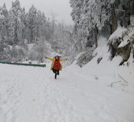 云合传媒之冬天来了,彭州周边这七个地方耍雪,好耍还不要钱 