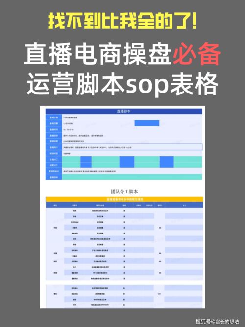 电商主播抖音带货产品文案内容策划脚本方案管理计划书范文模板