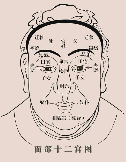 五行相法 通过面相与五行,看穿一个人