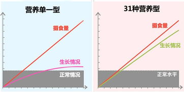 科学的长高方法(科学的长高方法女生)