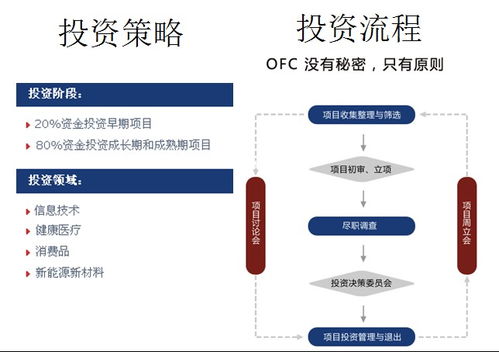 东方富海投资管理有限公司的简介