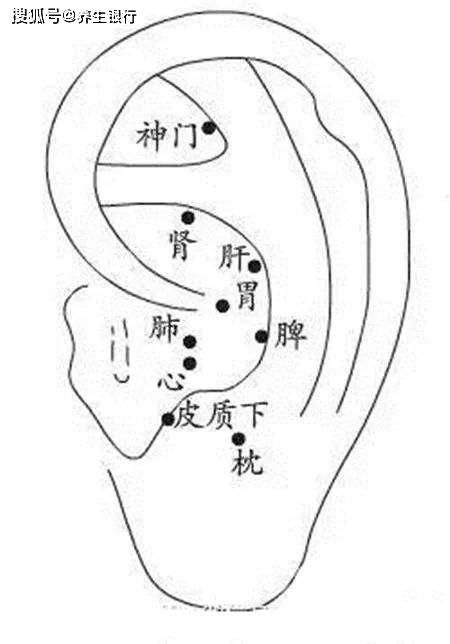 每天揉100次这个部位可以揉通血管,你知道吗