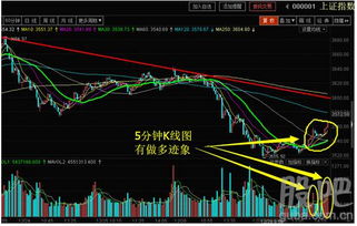 为什么多头上突突破压力位之后没有回调而是继续上涨