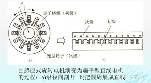 直线电机的结构及工作原理