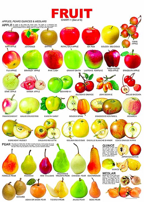 各种水果的英文表达 
