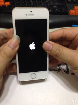 超详细的iphone5 换土豪金外壳 5S按键 改双闪 图已经更好 请给赞哦 iPhone 5 综合讨论区 威锋论坛 威锋网 