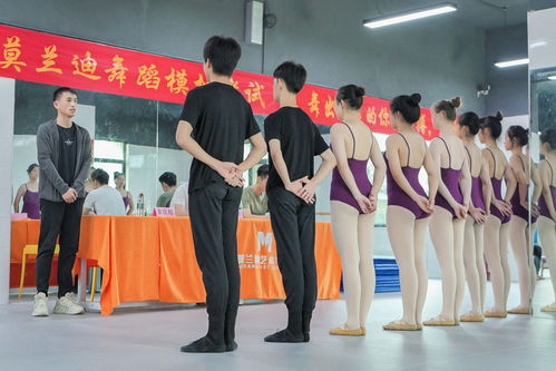 南宁舞蹈培训学校 广西舞蹈培训机构选择的4大标准,舞蹈生集训必看指南