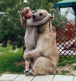 俄夫妇养270斤熊23年 每日同桌进餐 