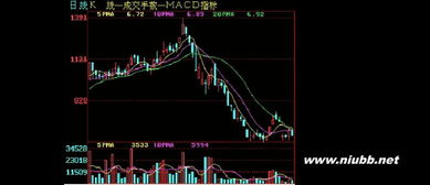 股票基础知识，图里的各种线啥意思？视频教学有吗。