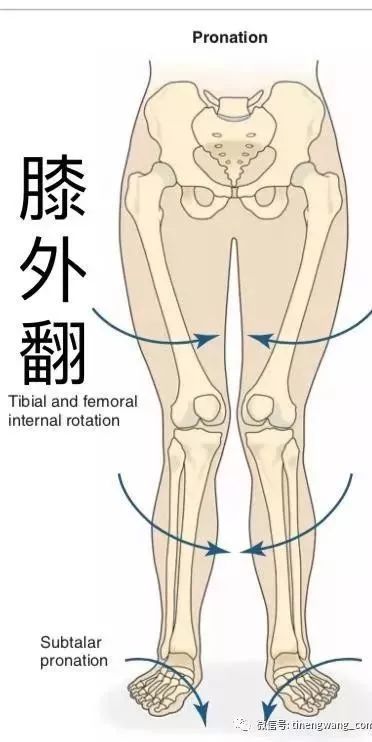 秀智的脸胖成150斤,但这90斤的脚脖子也太秀了吧