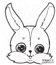 兔子头像简笔画 兔子简笔画 简笔画大全 