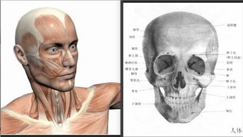 PS教程 如何解决皮肤问题修出如玉肌肤后期磨皮修图教程