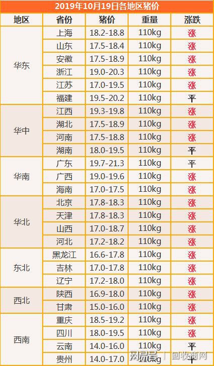 悲哀 10月19日猪价全面暴涨 网友大呼,这年头猪肉都吃不起了