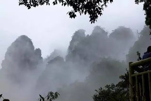 藏在自贡周边的另一个青城山,让你的夏日清凉指数飙升 