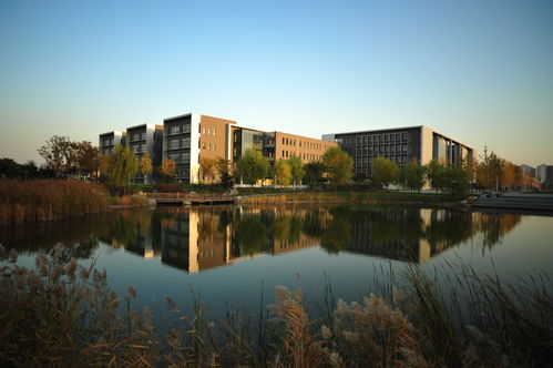 北京航空航天大学设计学类