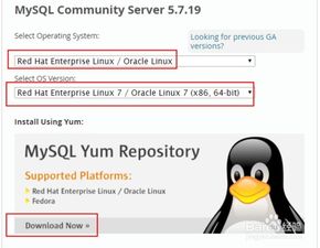 linux怎么安装mysql数据库(云虚拟主机怎么安装数据库)