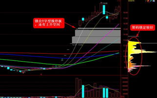 股票涨停是指股票在一天中一个价格一直不动吗/。